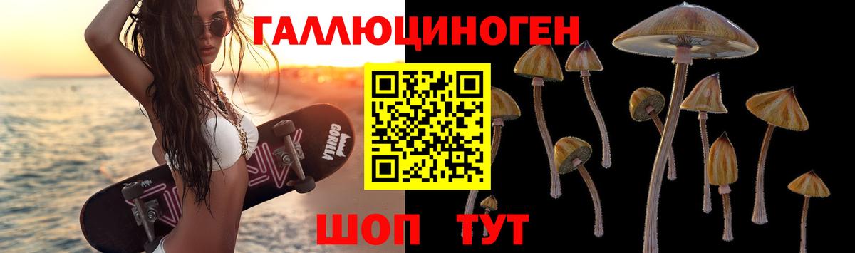 Псилоцибиновые грибы Psilocybine cubensis Владивосток